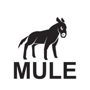 Mule