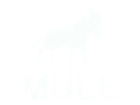Mule illustration symbolizing durable and reliable web design solutions for businesses, emphasizing conversion optimization and customer engagement.